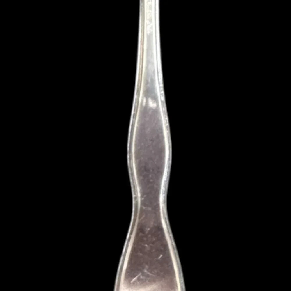 Oneida Twilight 1881 Rogers Stainless Flatware Serving‎ Spoon 8 1/2